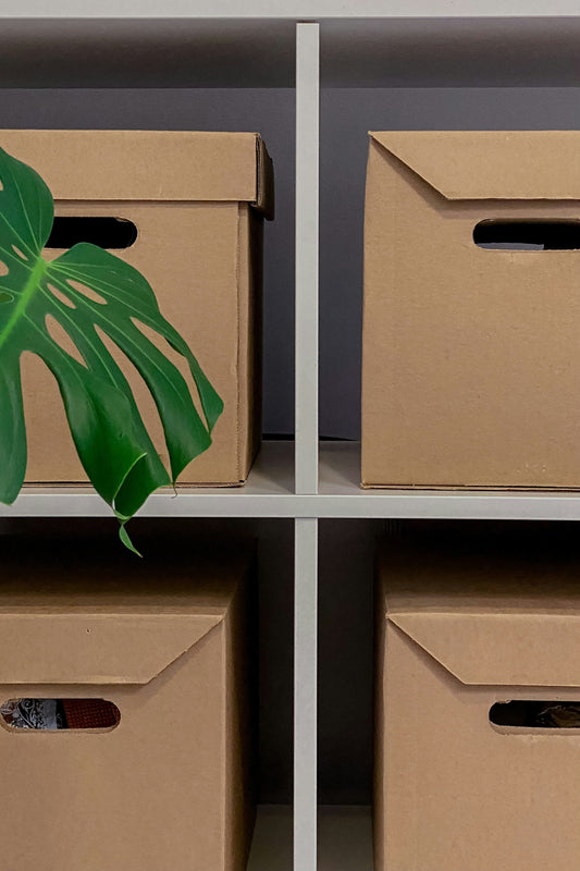 El impacto de la organización física con cajas de archivo en la concentración y la productividad