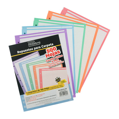 Repuestos para Carpeta Multicolor 500 hojas