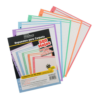 Repuestos para Carpeta Multicolor 500 hojas
