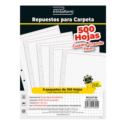 Repuestos para Carpeta Ejecutiva 500 hojas