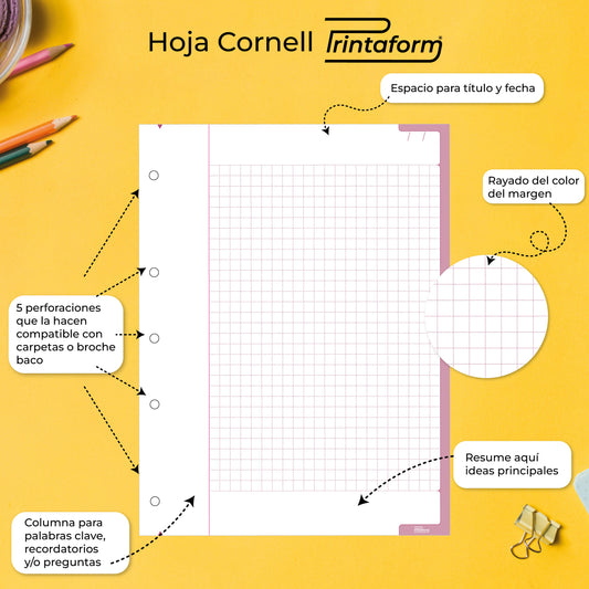 Repuestos para Carpeta Hoja Cornell 200 hojas